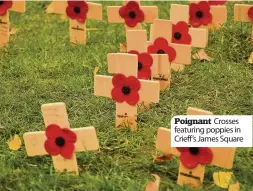  ??  ?? Poignant Crosses featuring poppies in Crieff’s James Square