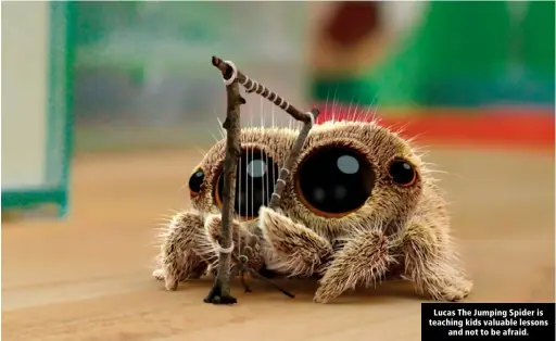  ?? ?? Lucas The Jumping Spider is teaching kids valuable lessons and not to be afraid.