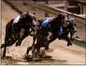  ?? ?? DOG DAYS: Greyhounds racing has ended at Wimbledon Stadium