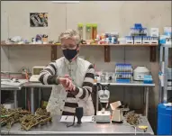  ?? (AP/Seth Wenig) ?? Biologist Diane Duffus tests hemp for humidity in a lab at Hepworth Farms in Milton, N.Y., last week.