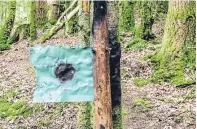  ??  ?? The playground and ‘gang hut’ on private land within Cowden Woods, Comrie. Police cordoned off the area following the discovery of a wooden hut, basketball court, targets set out for airgun shooting and shooting holes created in the side of the hut.