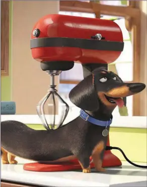  ??  ?? The Secret Life Of Pets imagines what our four-legged, feathered and finned friends get up to when our backs are turned.