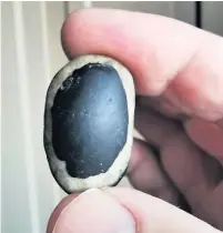  ??  ?? ●●The stone that Sean found