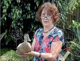  ?? SUPPLIED ?? Sue Beatson in her Devonport backyard with one-legged pet duck Hoppy, following her mysterious escape.