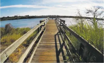  ?? Spud Hilton / The Chronicle ?? Top: Brannan Island State Recreation Area is gateway to the sprawling network of rivers, sloughs and marshes of the Sacramento-San Joaquin River Delta. Middle: Bull tule elk wander the Grizzly Island Wildlife Area. Above: A Brannan Island dock offers fishing opportunit­ies.