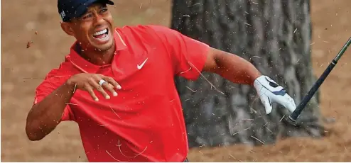  ?? GETTY IMAGES ?? Pain game: Tiger Woods drops his club after connecting with a tree root on his downswing amid the pines