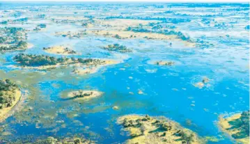  ??  ?? El Delta del Okavango hace una pausa en curvas y pantanos, para luego llegar hasta el desierto del Kalahari.