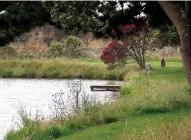My Favourite Walk: Lake Rotomanu Walkway - PressReader