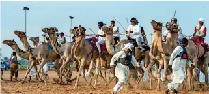  ??  ?? The venue of the National Day Camel Marathon has been moved to Al Marmoom race track.