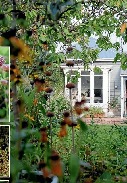  ?? JULIA ATKINSON-DUNN ?? Seed heads are architectu­ral and intricate, with the sole aim of survival of their species.