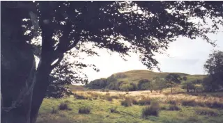  ??  ?? Mystic The Iron Age site at Walls Hill