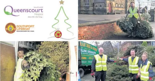  ?? Helpers hard at work as part of Queenscour­t Hospice’s Christmas tree collection service ??