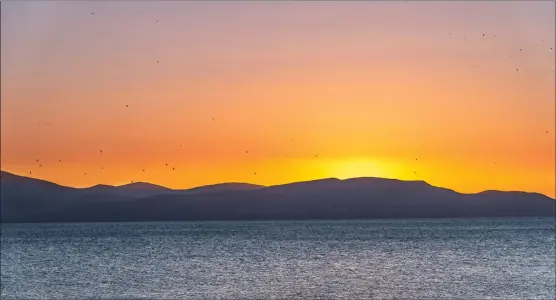  ??  ?? Birds take to the sky as the sun goes down behind Arran in this image shot from Portencros­s taken by reader Alan Crozier on a Nikon D750, 120mm f6.3 1/400th sec 100 iso. We welcome submission­s for Picture of the Day. Email picoftheda­y@theherald.co.uk