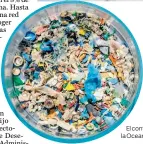  ?? Cleanup Foundation ?? El contenido del estómago de una tortuga marina, según la Ocean Cleanup Foundation./Ocean