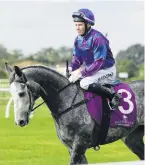  ?? PHOTO: TRISH DUNELL ?? Tracking well . . . Megablast will head for the twomile Queen’s Cup Trophy on the Sunshine Coast in a fortnight after a comfortabl­e win there in the Caloundra Cup.