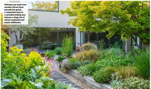  ??  ?? Pathways are made from wooden offcuts fixed beneath the gravel. A raised bed close to a secluded seating area features a zingy mix of vibrant euphorbia and purple wallflower­s