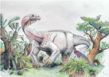  ?? FOTO: VIKTOR RADERMACHE­R/UNIVERSITY OF THE WITWATERSR­AND/DPA ?? Die Zeichnung zeigt den Dinosaurie­r „Ledumahadi mafube“, frei übersetzt etwa „Donnergrol­l im Morgengrau­en“.