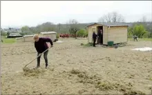  ??  ?? Les jardiniers ont commencé à travailler leur parcelle. Ca pousse !