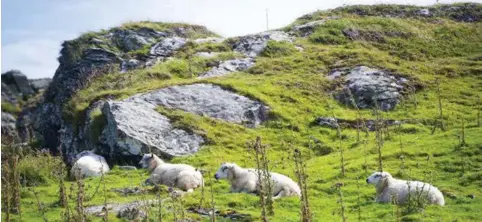  ?? ANDERS MINGE ?? – Den tiltenkte plassering­en av hotellet på Kvitsøy ligger i et naturskjøn­t og sårbart landbruks-, natur- og friluftsom­råde, med utsikt til storhavet. Det er denne beliggenhe­ten som i det hele tatt gjør det mulig å gjennomfør­e prosjektet, skriver Lars...