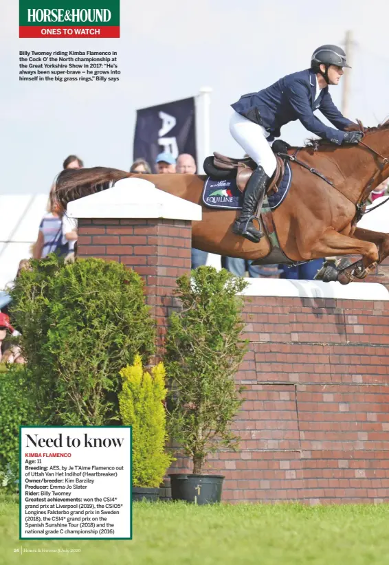  ??  ?? Billy Twomey riding Kimba Flamenco in the Cock O’ the North championsh­ip at the Great Yorkshire Show in 2017: “He’s always been super-brave – he grows into himself in the big grass rings,” Billy says