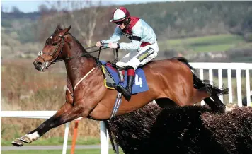  ??  ?? Checkitout, ridden by Sam Twistondav­ies, goes on to win the Bromfield Sand And Gravel Handicap Chase at Ludlow