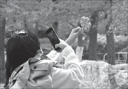  ?? ZHAO NAIMING / FOR CHINA DAILY ?? A visitor takes photograph­s of her blossom-shaped ice cream, a springtime novelty at the Yuyuantan Park in Beijing on April 7.