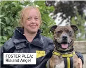  ?? ?? FOSTER PLEA: Ria and Angel