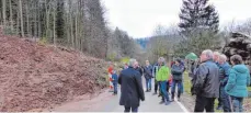  ?? FOTO: WOLFGANG FATH ?? Ortsvorste­her Thomas Bacher und die Ortschafts­räte haben sich vor Ort über den Sachstand zum Hangrutsch an der L1158 informiert.