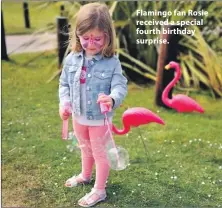  ??  ?? Flamingo fan Rosie received a special fourth birthday surprise.