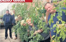  ??  ?? Green fingers The BBC Radio 4 Gardeners’ Question Time team at Gardening Leave in Ayr, from left, Eric Robson, Matthew Wilson, Anne Swithinban­k, producer Dan Cocker, Bunny Guiness, Gardening Leave’s Heather Budge- Reid and veteran Colin