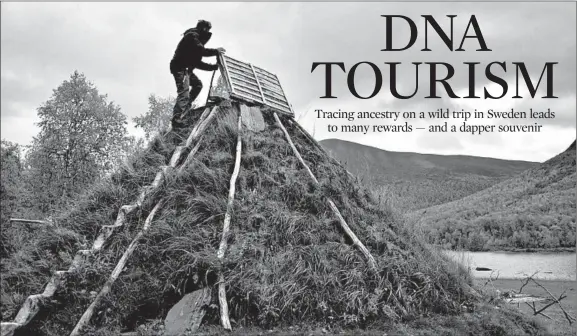  ??  ?? Mikael Vinka stands on top of a traditiona­l goathie home at his Sami Ecolodge near Ammarnas, Sweden.