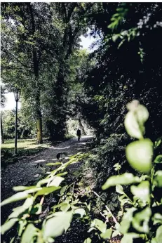  ?? FOTO: ANDREAS BRETZ ?? Kein Brennpunkt, aber ein Angstraum: Im Hofgarten sind seit Sturm Ela noch viele Bereiche ohne Beleuchtun­g.