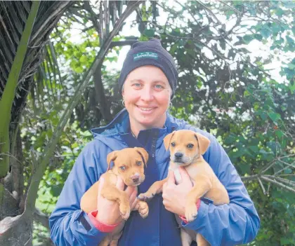  ?? Photo / NZME ?? Donna Badorek, from Donna Doolittle's Animal Rescue, says she is getting “huge amounts” of people asking her to rehome their dogs because of the rising cost of living.