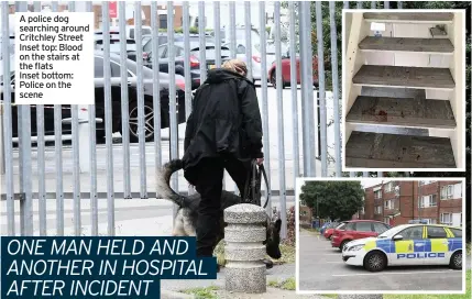  ??  ?? A police dog searching around Critchley Street Inset top: Blood on the stairs at the flats Inset bottom: Police on the scene