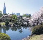  ?? Photo by Yasufumi Nishi ?? Urban beauty in Shinjuku Gyoen National Garden