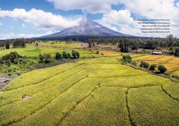  ?? ?? The rice paddies of the Bicol Peninsula, with Mount Mayon in the distance
Below from left: A handmade basket made in Bicol; an artisan
shapes abacá into wickerwork