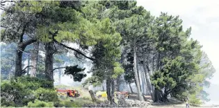  ?? PHOTO: GERARD O’BRIEN ?? Beach blaze . . . Firefighte­rs tackle a fire in the sand dunes and pine trees at Warrington yesterday afternoon.