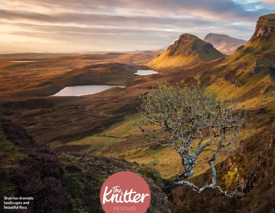  ??  ?? Skye has dramatic landscapes and beautiful flora