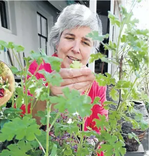  ?? Picture: Esa Alexander ?? Loubie Rusch believes fynbos plants can rescue us from climate change.