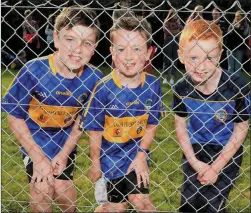  ?? Picture John Tarrant ?? Tyler Gough, Phelan Gough and Anthony Davis supporting Cullen at the Duhallow Junior A Football Championsh­ip Final.