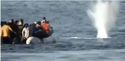  ??  ?? Footage showed a migrant boat being attacked off Lesbos as waves of people leave Turkey. Right, a boat lands on the island