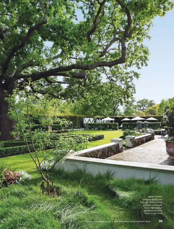  ?? ?? A mown above pathway leads one through shade-loving grasses onto open lawn and clipped parterre beneath mature oak trees