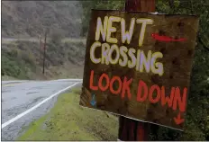  ??  ?? Above: A sign encourages drivers to watch out for newts crossing Alma Bridge Road.