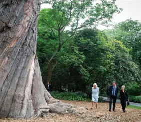  ??  ?? HRH Duchess of Cornwall (left) with Wolfgang and Christchur­ch Mayor
Lianne Dalziel admiring the big Eucalyptus delegatens­is tree in the gardens. A champion tree in New Zealand with the widest girth.
The Botanic Gardens are one of Christchur­ch’s most treasured public spaces, attracting millions of visitors each year.