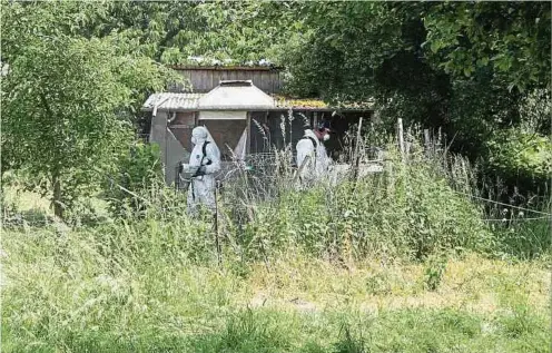  ?? Foto: Guy Jallay/lw-archiv ?? In einer Holzhütte auf einer verlassene­n und versteckt liegenden Schreberga­rtenanlage in Merl wird am 30. Mai 2018 die Leiche eines Mannes gefunden. Er ist einem Gewaltverb­rechen zum Opfer gefallen. Sein Mörder ist bis heute nicht gefasst.