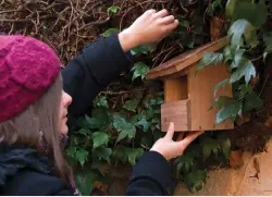  ??  ?? Installing a nestbox will attract more birds to your garden.