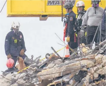  ?? GERALD HERBERT/AP ?? A dog alerts search and rescue personnel after sniffing a spot Wednesday atop the rubble at Champlain Towers South, where 147 people remain unaccounte­d for almost a week after it partially collapsed in Surfside, Florida.