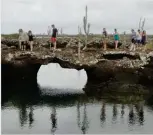  ??  ?? Puentes y túneles naturales para apreciar de cerca la vida en la superfcie del mar. / Natural bridges and tunnels allow visitors to discover a spectacula­r underwater realm along Isabela’s coast.