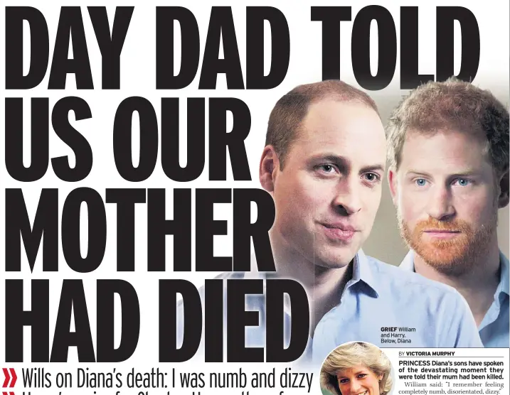  ??  ?? GRIEF William and Harry. Below, Diana