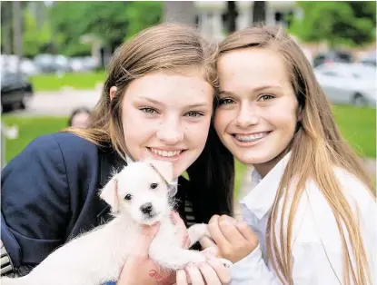  ?? R. Clayton McKee / For the Chronicle ?? Irving got his share of hugs and cuddles from eighth-graders Grace Breeding and Bar Pierce, both 14, when K-9 Angels Rescue brought friends and puppies to The Kinkaid School.